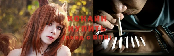 дурь Покачи