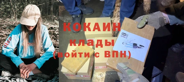дурь Покачи