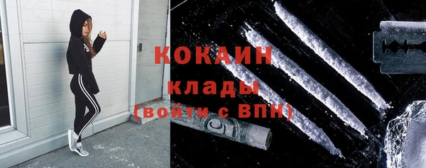 дурь Покачи