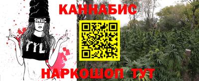 дурь Гатчина