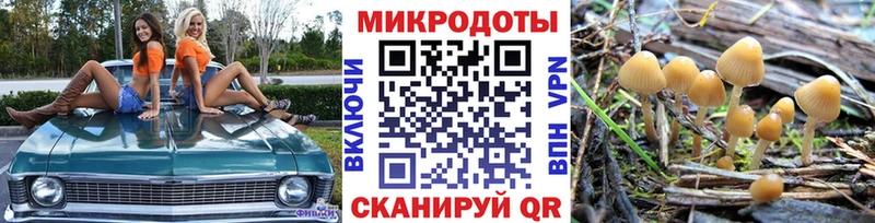 Псилоцибиновые грибы Psilocybe  продажа наркотиков  Корсаков 