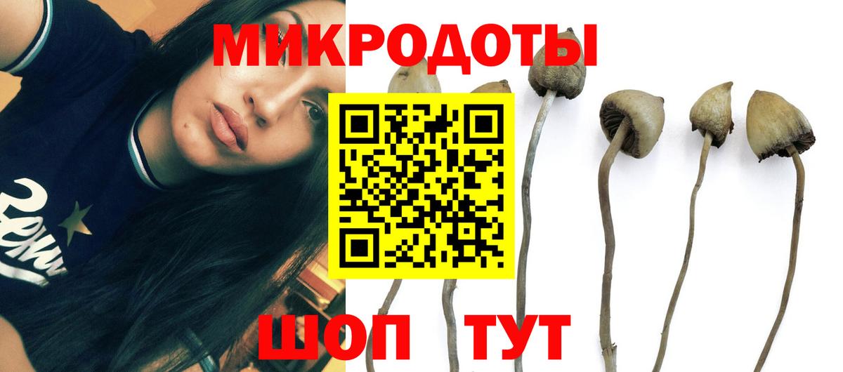 Галлюциногенные грибы GOLDEN TEACHER  Корсаков  Галлюциногенные грибы мухоморы 